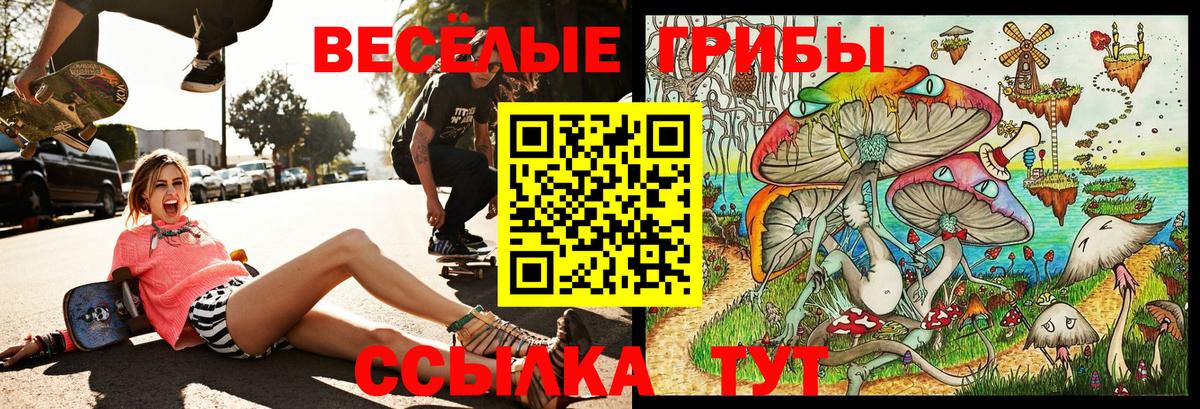 купить  цена  Вход с VPN  Псилоцибиновые грибы Cubensis  Узловая  Галлюциногенные грибы ЛСД 